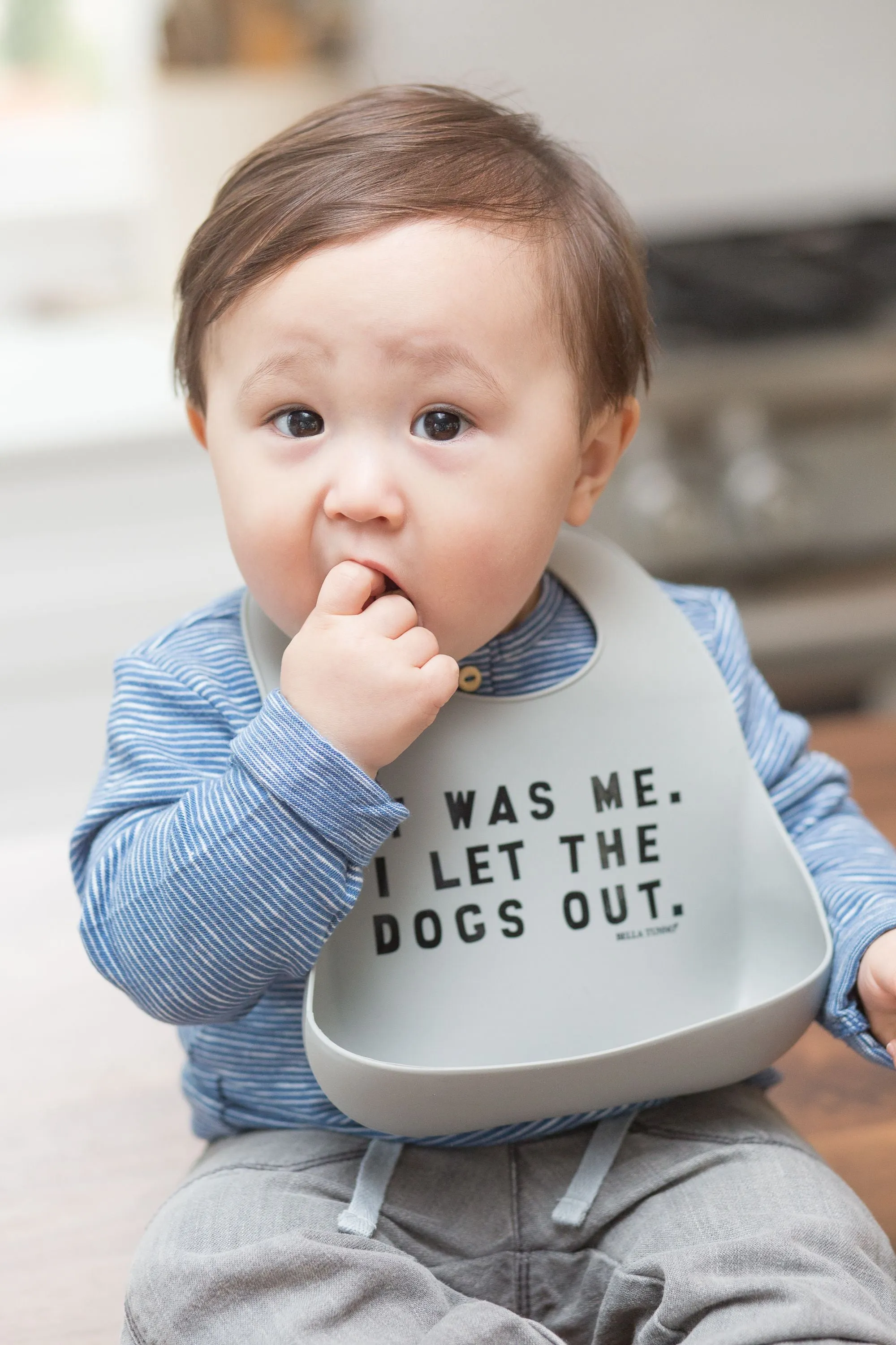 Bella Tunno Dogs Out Wonder Bib