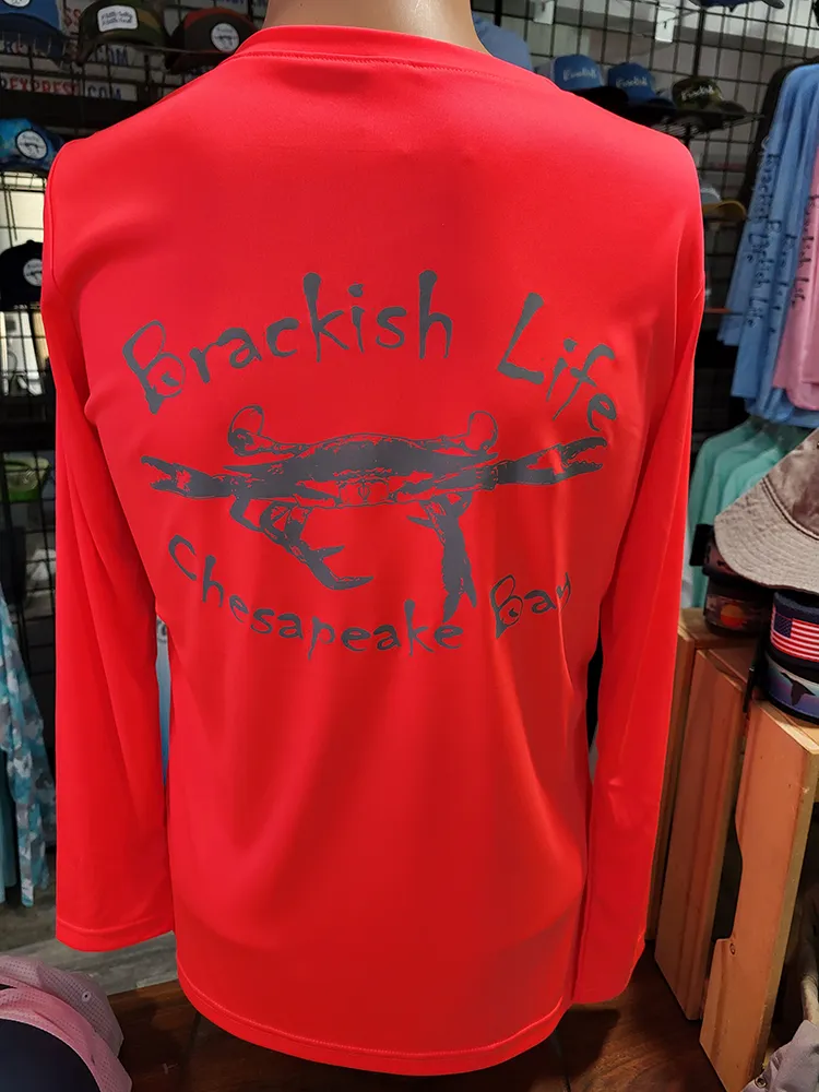 Coral  Ladies Performance Long Sleeve V-Neck with Silver Brackish Definition