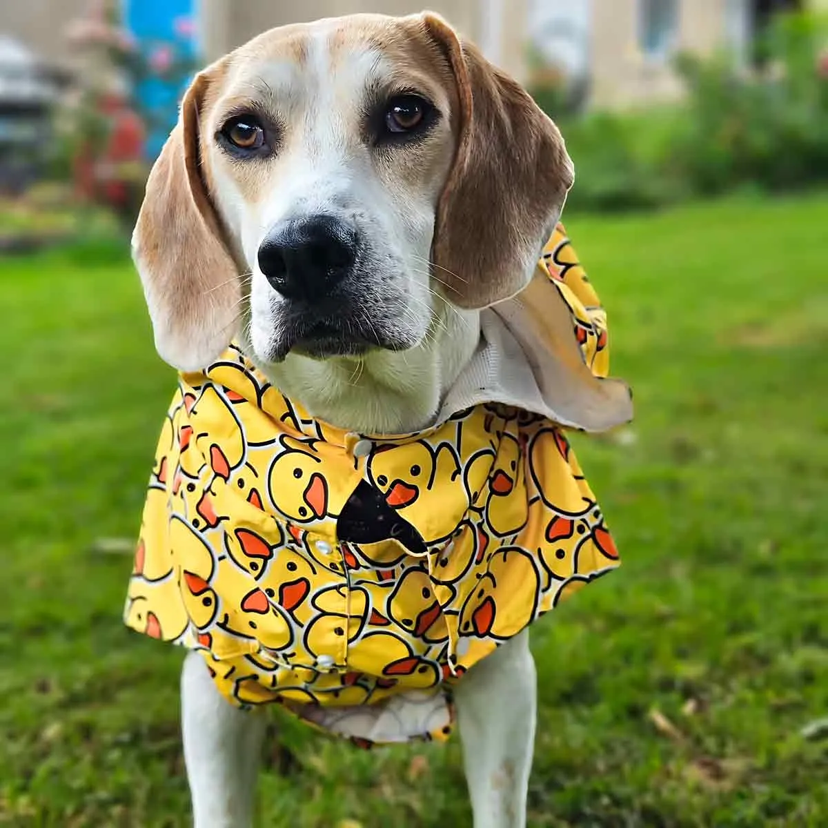 Funny Rubber Duck Raincoat