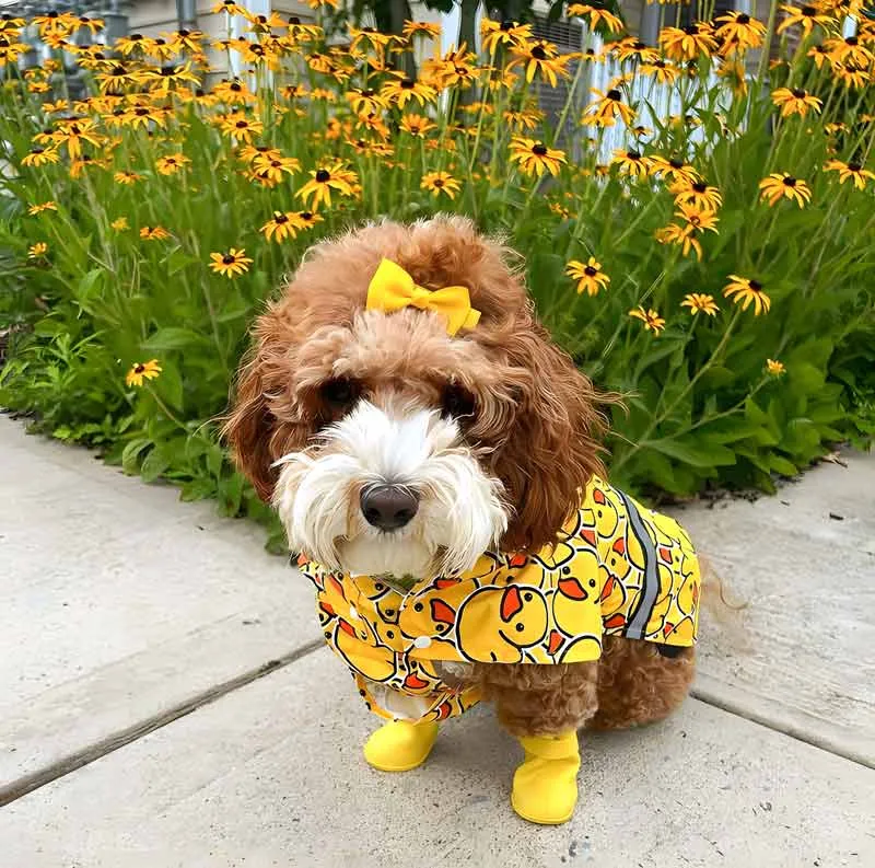 Funny Rubber Duck Raincoat