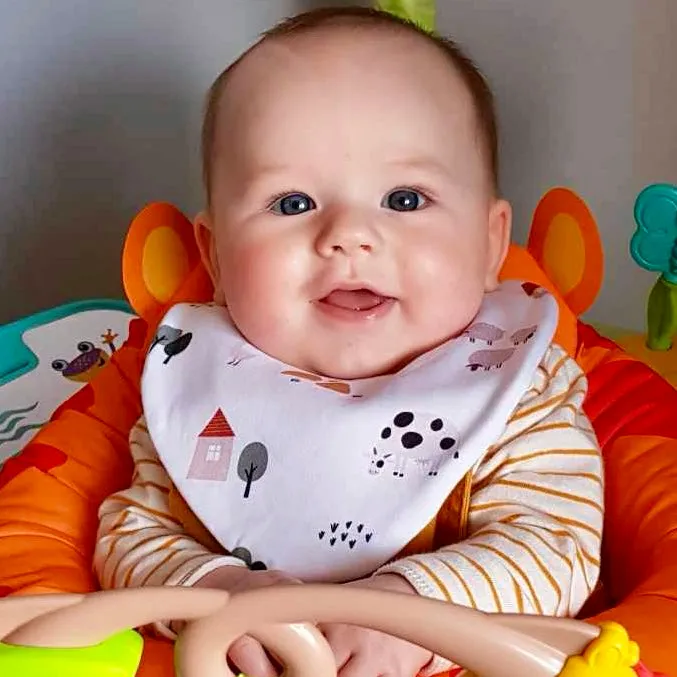 On The Farm Waterproof Dribble Bib