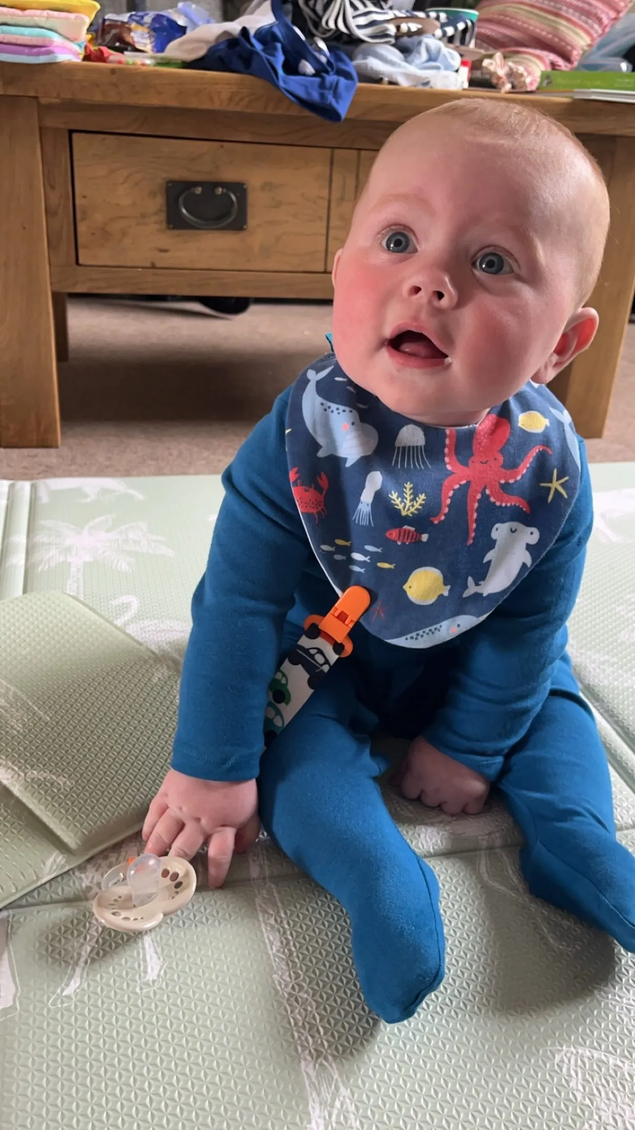 Sea Waterproof Dribble Bib