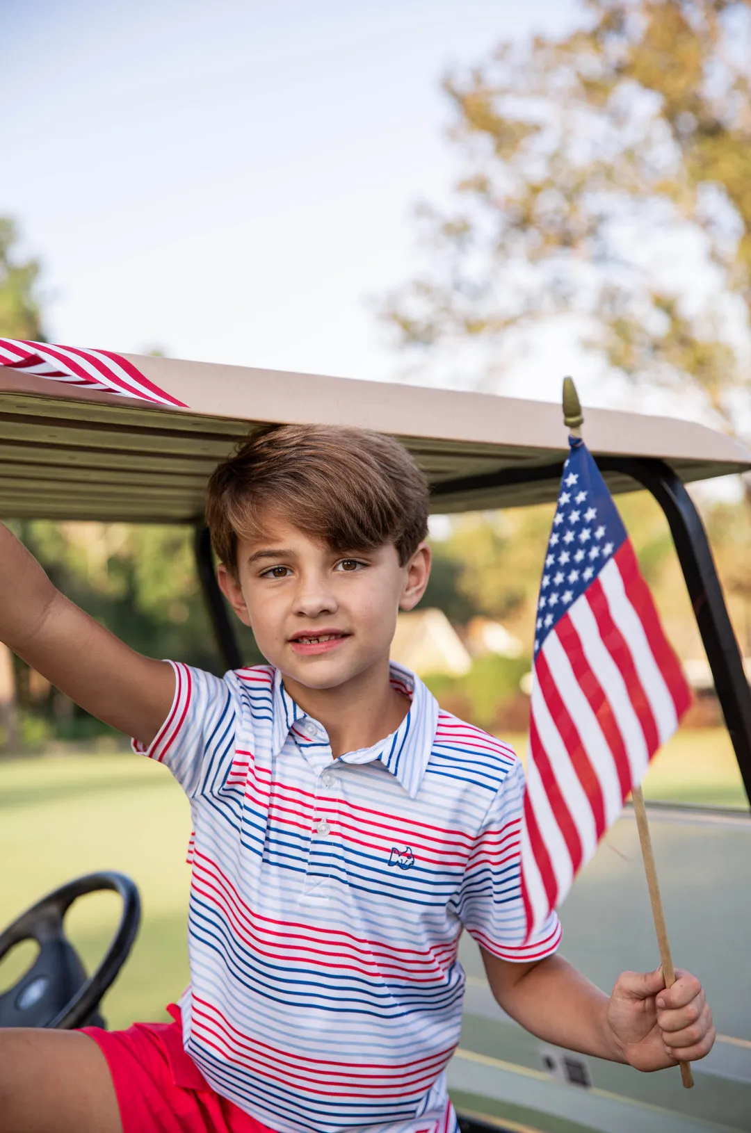 Short Sleeve Pro Performance Polo | Americana Stripe