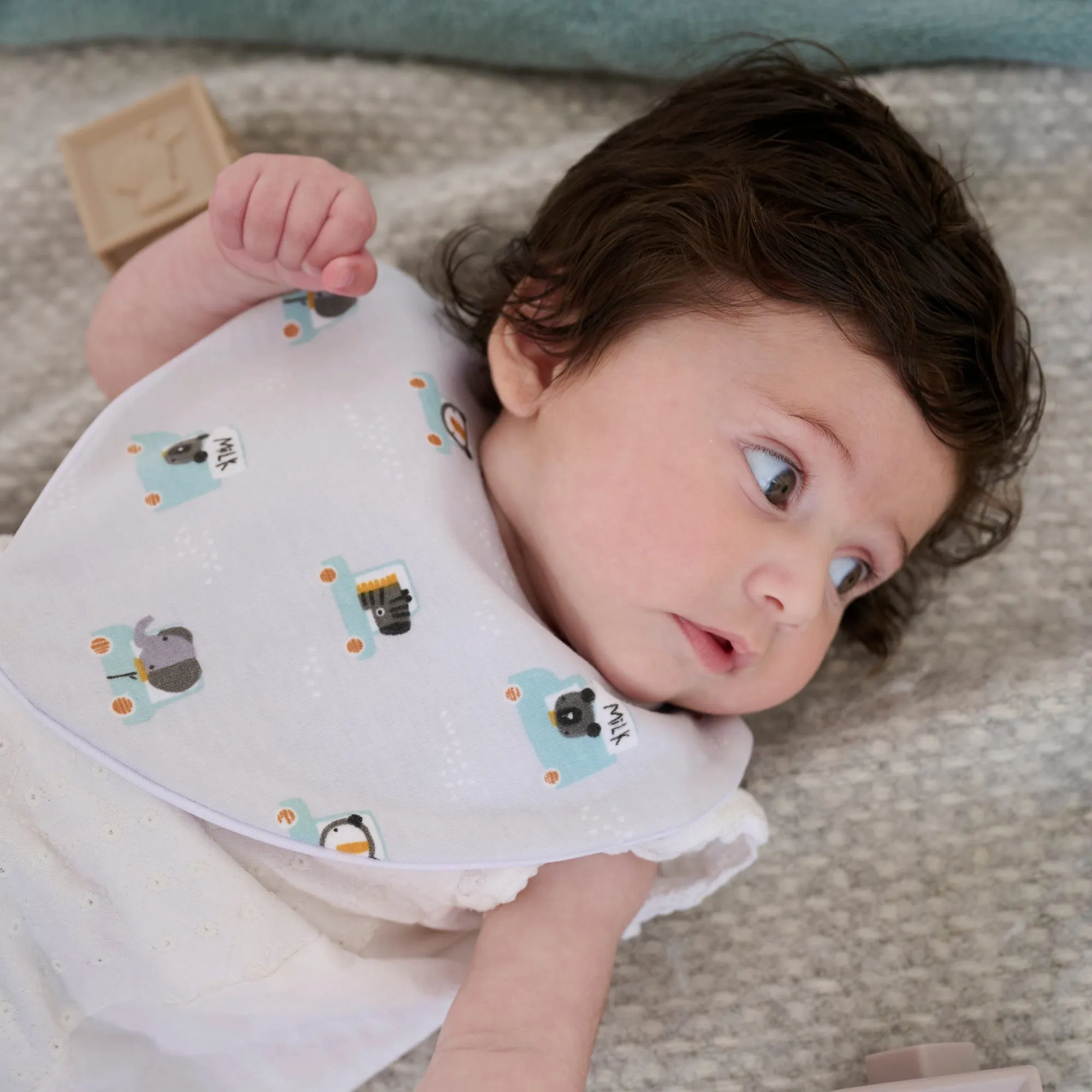 Tiny Animal Drivers Waterproof Dribble Bib
