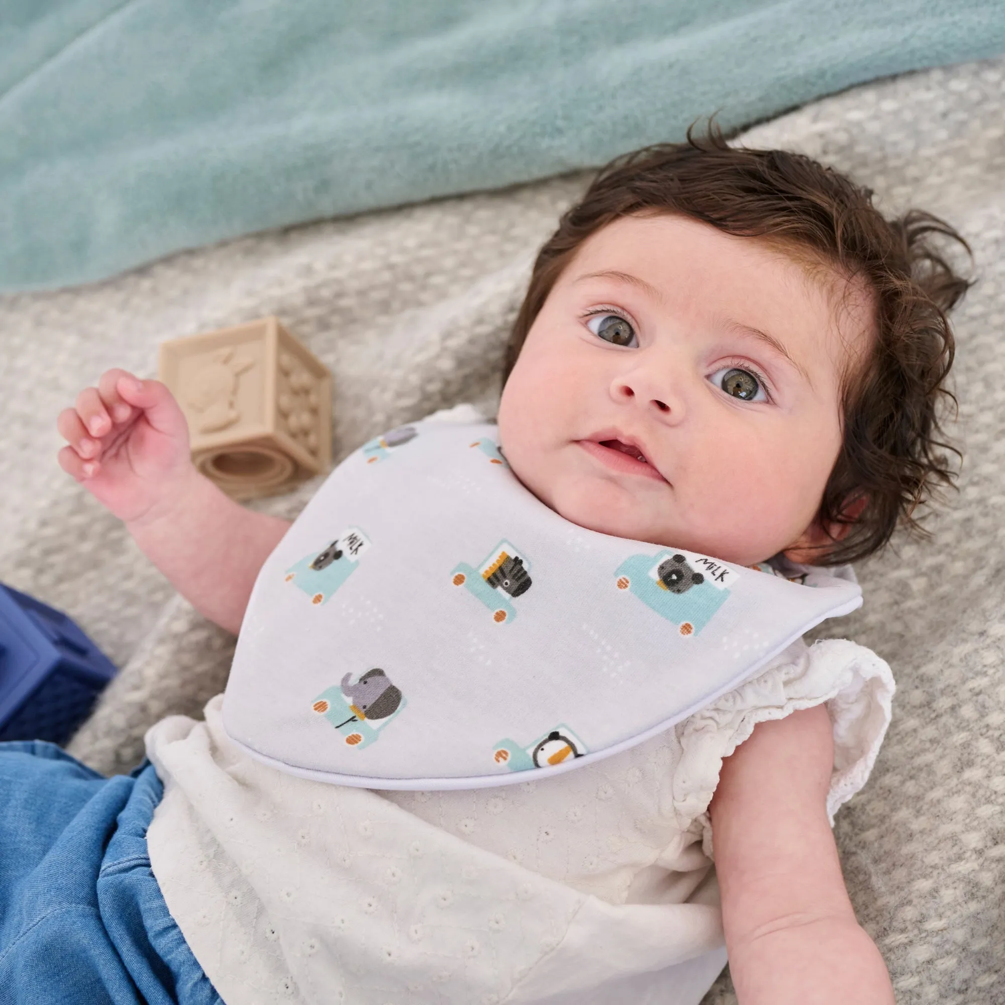 Tiny Animal Drivers Waterproof Dribble Bib