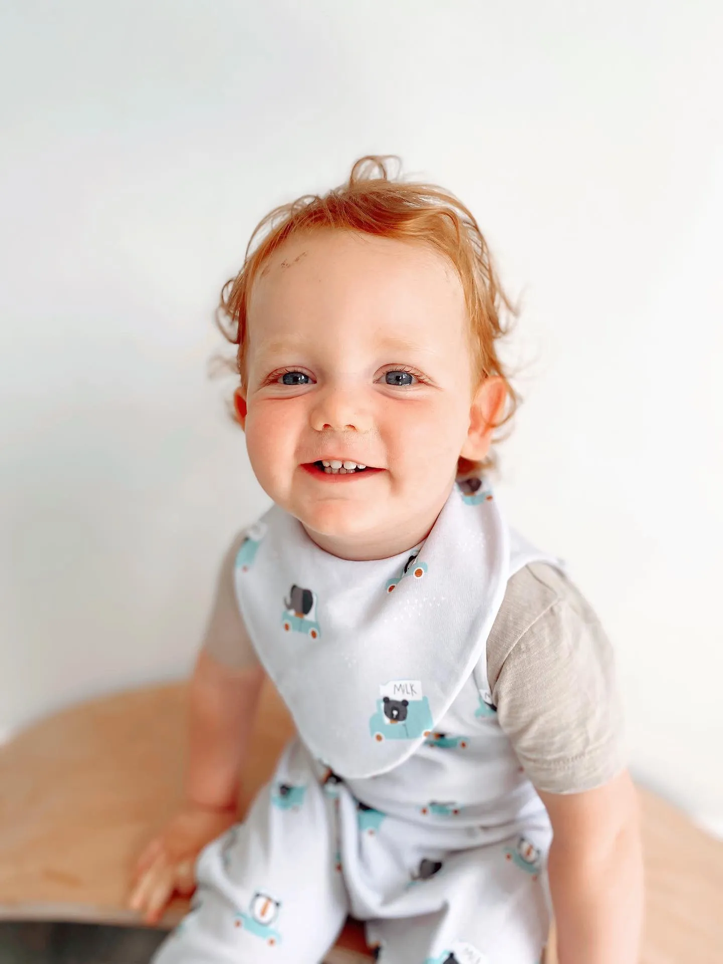 Tiny Animal Drivers Waterproof Dribble Bib